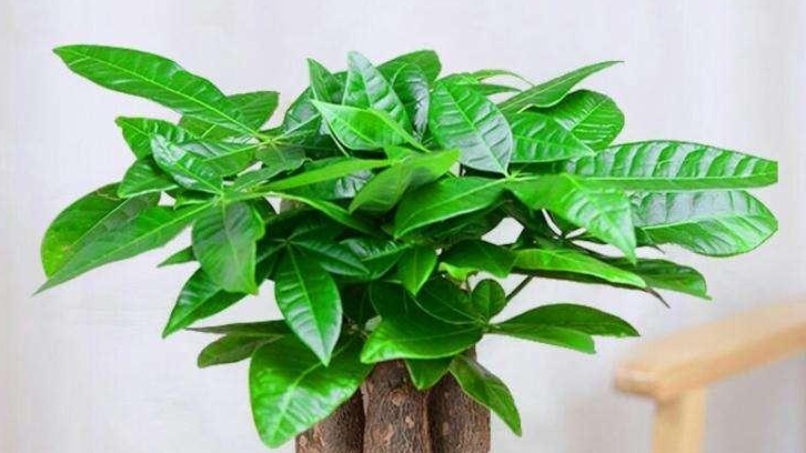 現(xiàn)代辦公室裝修，需要滿足哪些點？